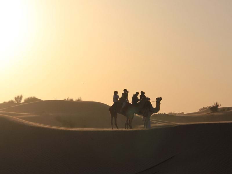 The Travel Directors