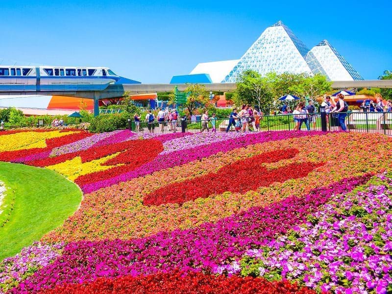 The Travel Directors