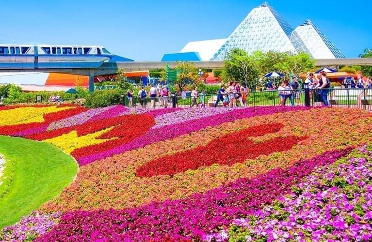 The Travel Directors The Travel Directors