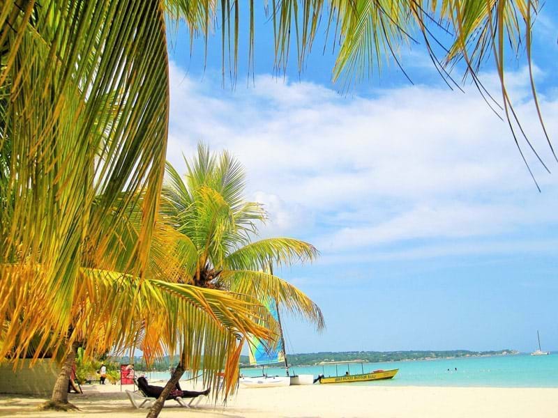 The Travel Directors