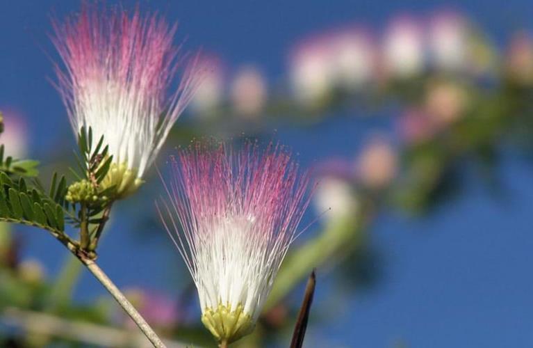 The Travel Directors The Travel Directors