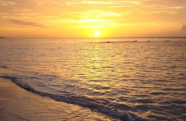 The Travel Directors The Travel Directors