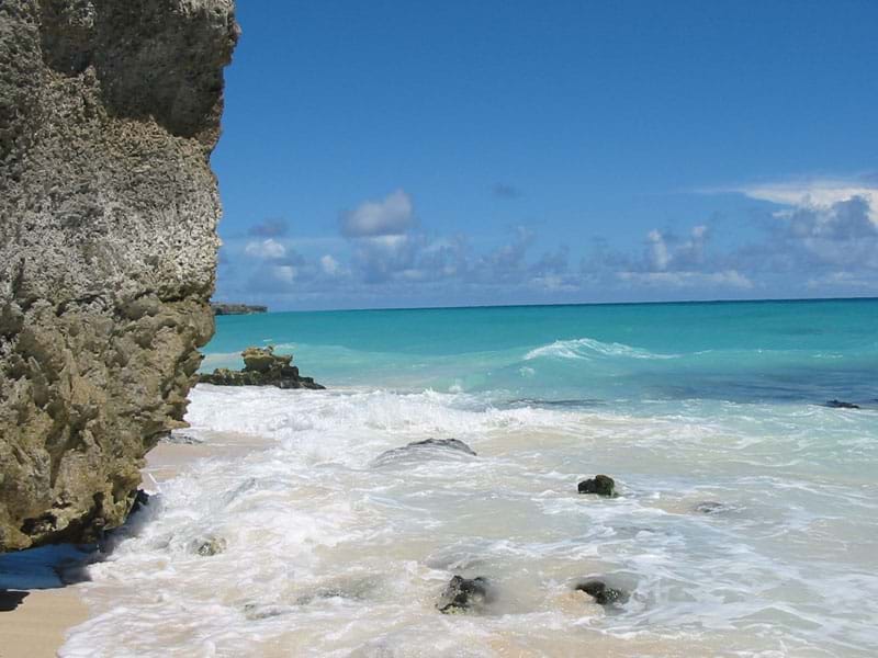 The Travel Directors