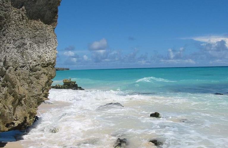 The Travel Directors The Travel Directors