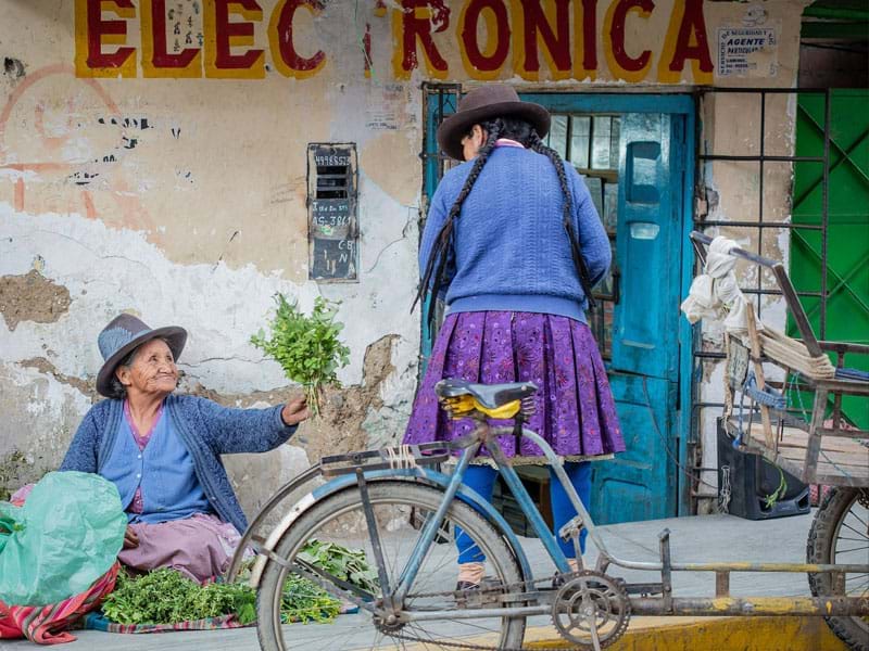 The Travel Directors