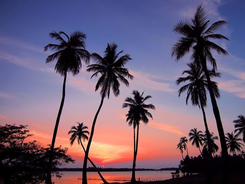 The Travel Directors