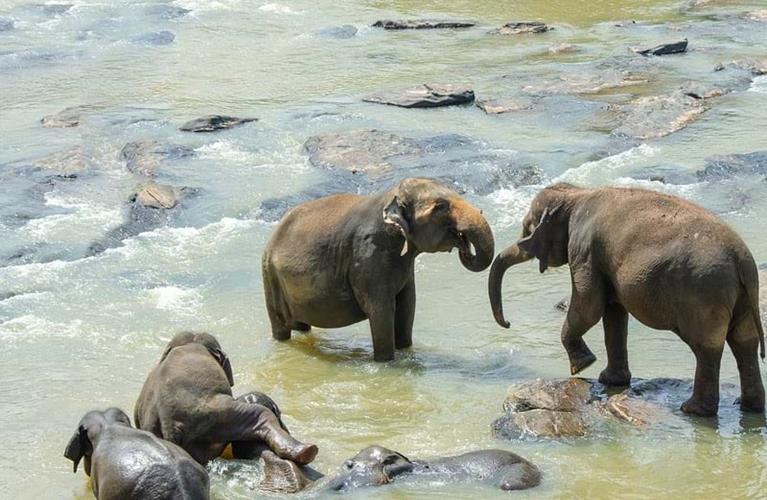 The Travel Directors The Travel Directors