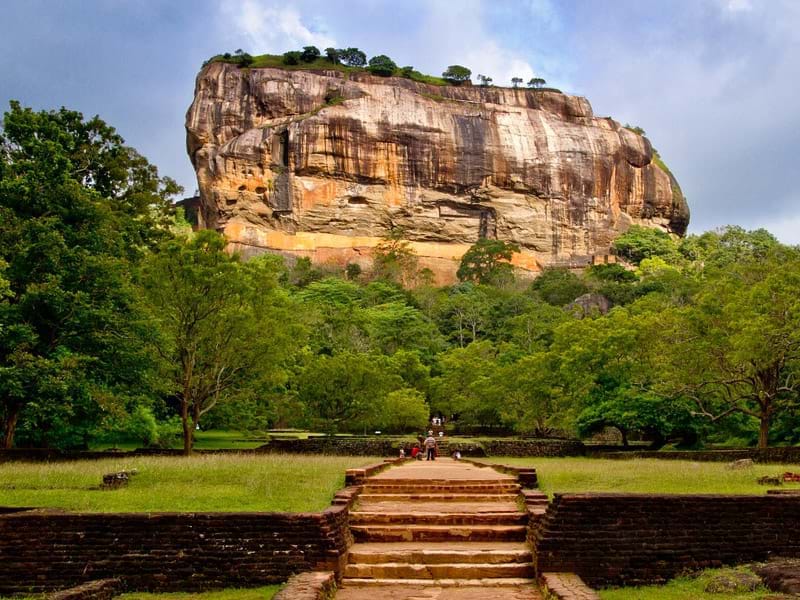 The Travel Directors