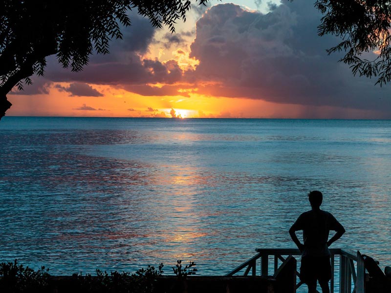 The Travel Directors