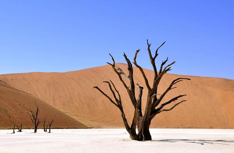 The Travel Directors The Travel Directors