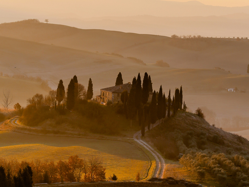 The Travel Directors