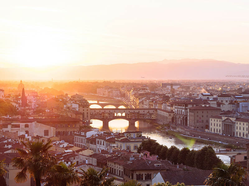 The Travel Directors