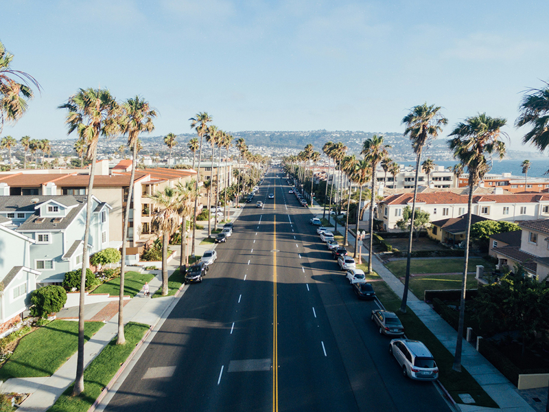 The Travel Directors