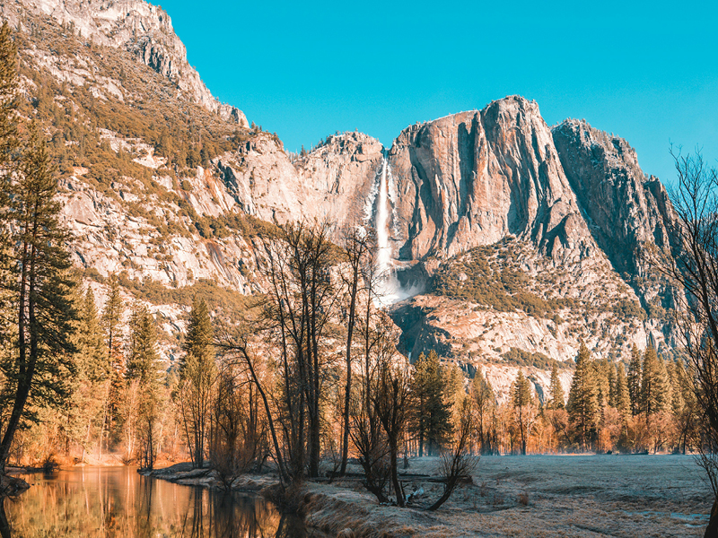 The Travel Directors