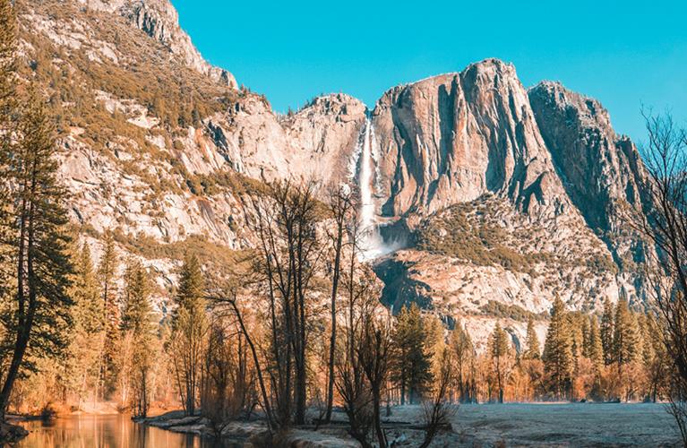 The Travel Directors The Travel Directors