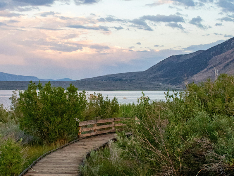 The Travel Directors