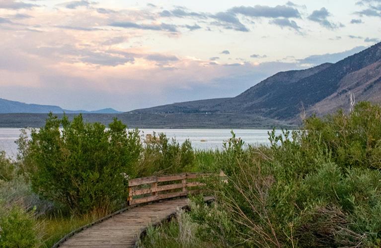 The Travel Directors The Travel Directors