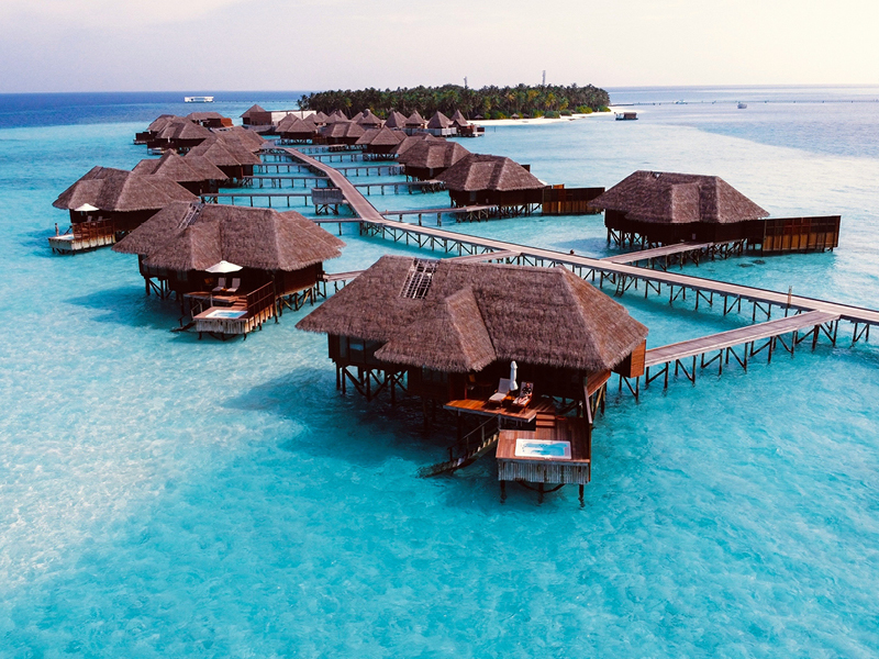 The Travel Directors