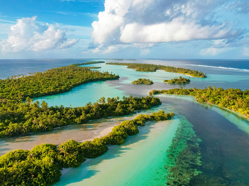 The Travel Directors