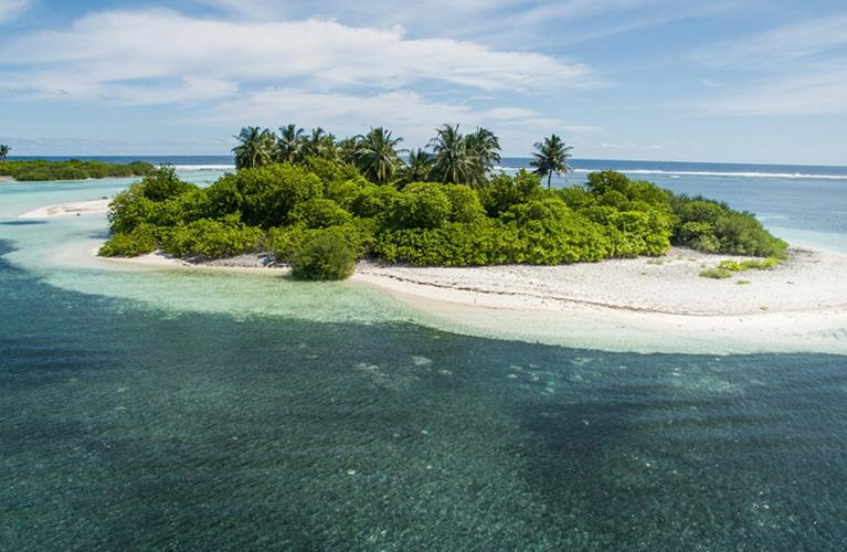 The Travel Directors The Travel Directors